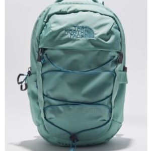 The north face Borealis mini backpack (sold out)